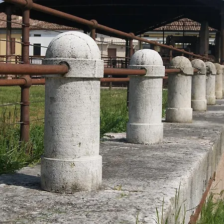 Dei Concari